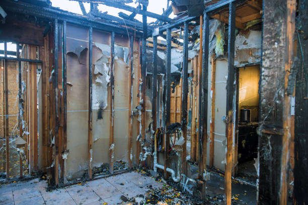 Professional Odor Removal technician working in Riva, MD